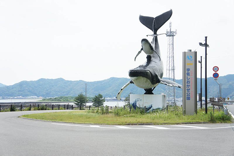 🏞️ 우사 바닷바람 공원(우사 시오카제 코엔) 이미지 3